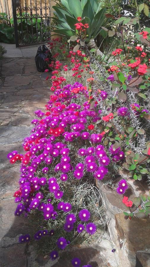 Bed And Breakfast Su Niu Quartucciu Εξωτερικό φωτογραφία